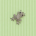 Clear Rhinestone Frog Brooch Pin Silver Tone Lily Pad Nature Jewelry 2" CP184